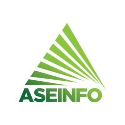 Information Technology Consultant