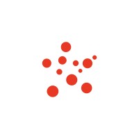 Wordpress Developer
