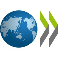 Junior Analyst