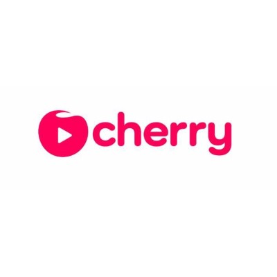 Payments and Fraud Supervisor