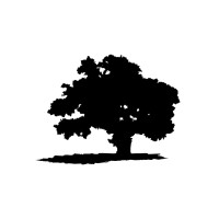 Supervisor of Business Intelligence