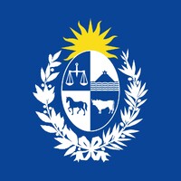 Asesor / Gerente de proyectos