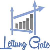 Process Analyst
