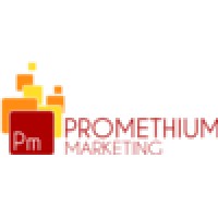 Junior Project Manager