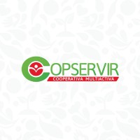 Jefe de desarrollo BI