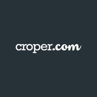 International Business Developer
