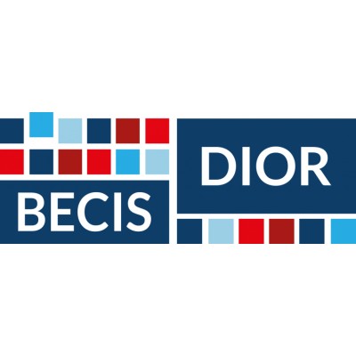 Change & Project Manager