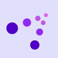 Business Development Executive