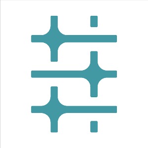 Web Designer & Developer
