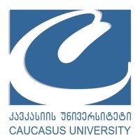 Visiting Lecturer