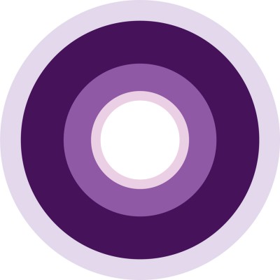 Senior Consultant