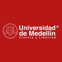 Innovation Research Professor