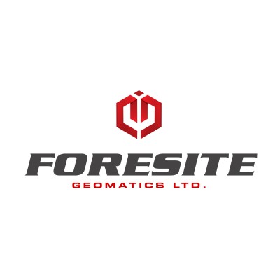 Senior Surveyor