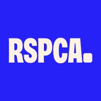Database Support / Project Manager
