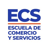 Coordinador de Diseño Curricular