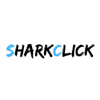 Web Designer