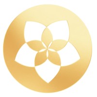UI/UX Designer