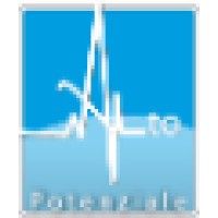 Temporary Manager per la start up | Direttore formazione