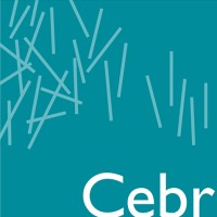 Board Director/Chief Economist