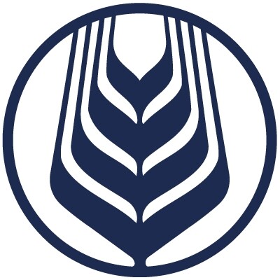 Senior Business Analyst - Strategy