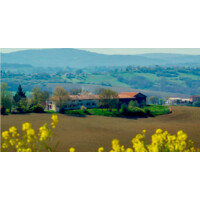 Co-gérante