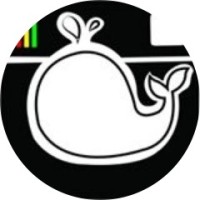 Creative Director/Social Media Manager