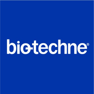 Digital Marketing Specialist