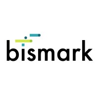 Project Engineer