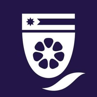 Senior People and Strategy Analyst