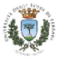 Consulente IT