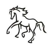 Psicólogo clínico