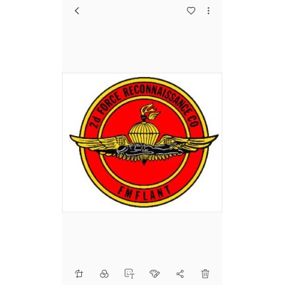 Helicopter Pilot