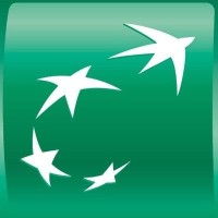 Business Analyst