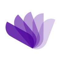 IT Project Manager