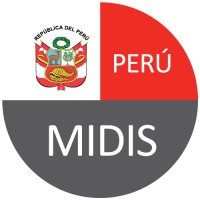 Técnico informático