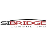 Project/Program Management Consultant