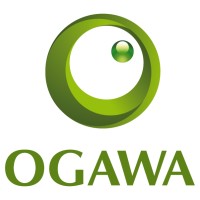 Ecommerce Executive