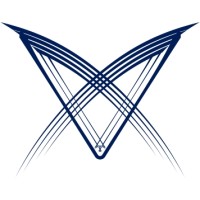 Cyber Security Analyst