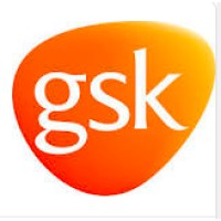 Sales Officer (S&D)