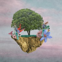 Gerente de projetos