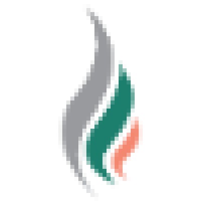 Data Analyst