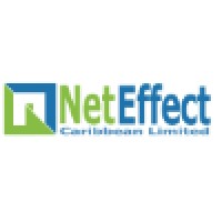 Project Manager