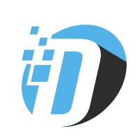 Senior Project Manager