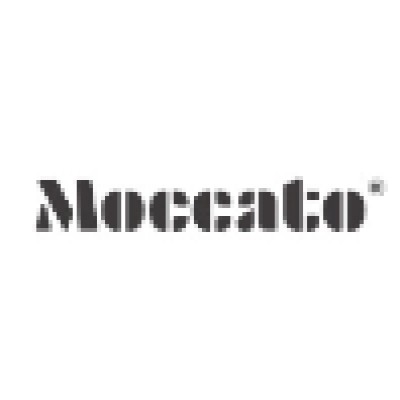 Marketing Coordinator | Branding, Growth and CX