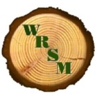 Group Engineer