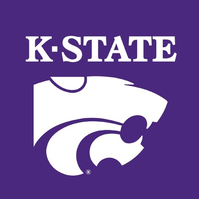 Student Web Developer