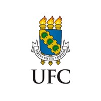 Bolsista de Iniciação Acadêmica