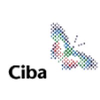Network Specialist
