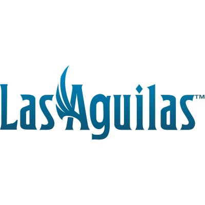 Chief Administrative Officer (CAO)