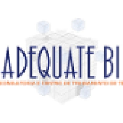 Senior Data Analyst
